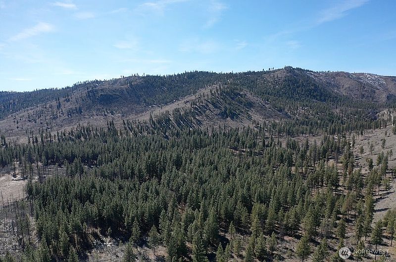 4th image of 0 NHN Washington Creek Road