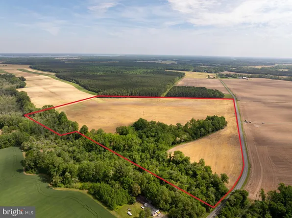 Bucktown Rd, Cambridge, MD 21613