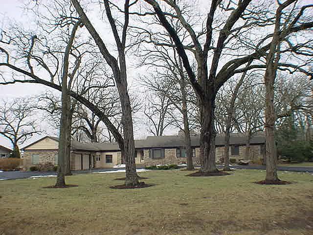 BEAUTIFUL SETTING OF TOWERING OAKS