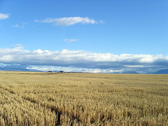 4th image of Nhn West Reserve Drive 40 Acres