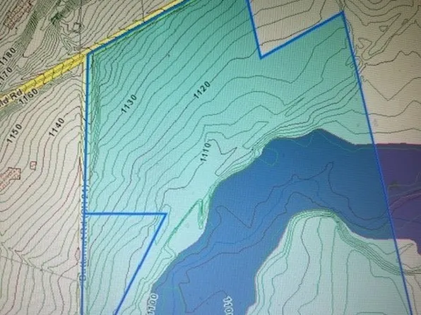 Butternut Rd, Chesterland, OH 44026