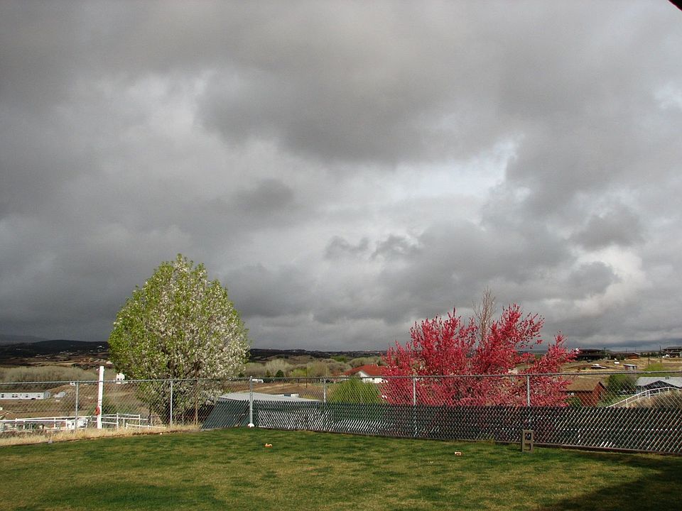 Gorgeous view from the porch
