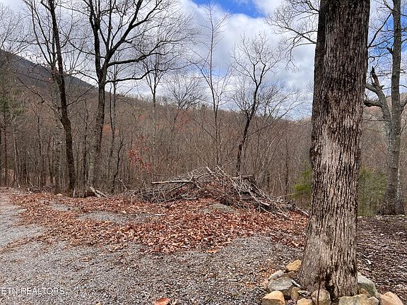 3rd image of Hardwood Hollow Way