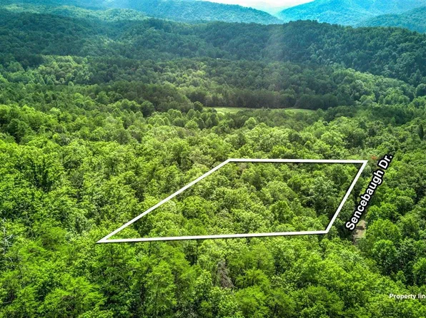 Sencebaugh Dr, Sevierville, TN 37876