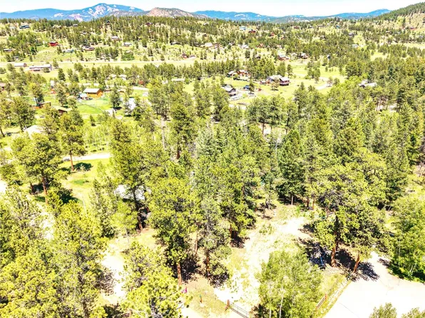 252 Beaver Trail, Bailey, CO 80421