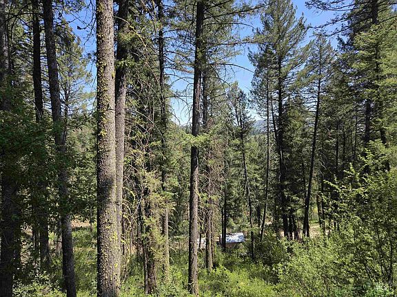 5th image of 18 Alpine Pl