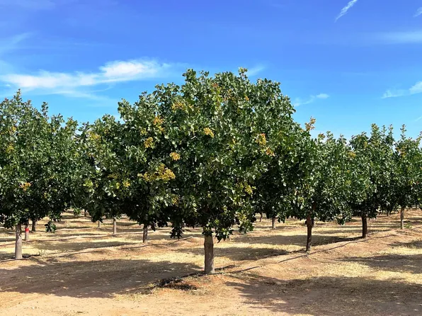 19599 Road 26, Madera, CA 93638