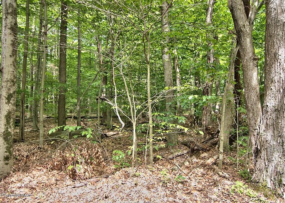 1st image of 1174 Deer Run