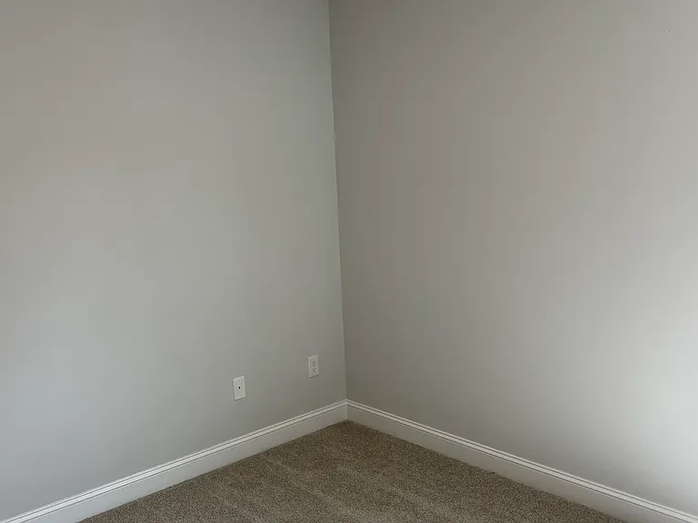 151 Coneflower Ct — Photo 12