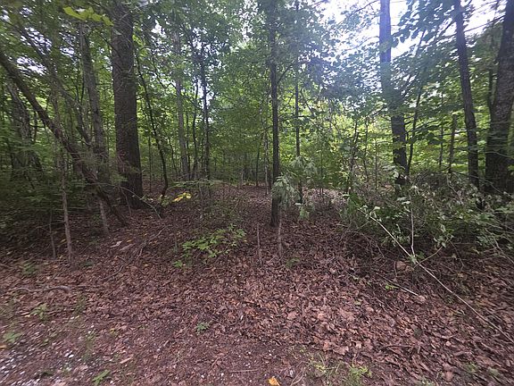 3rd image of 0 Woodland Forest Dr