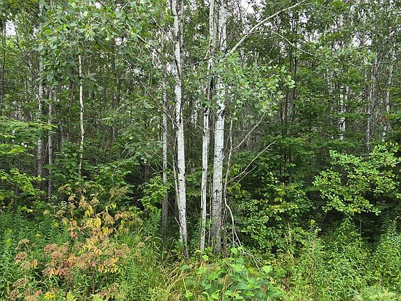 5th image of N6606 Rangeline Rd