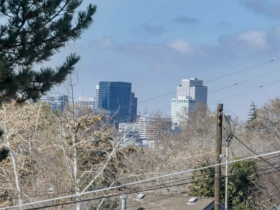 view from patio