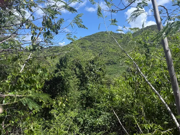 162 Cotton Valley EB, St. Croix, VI 00820