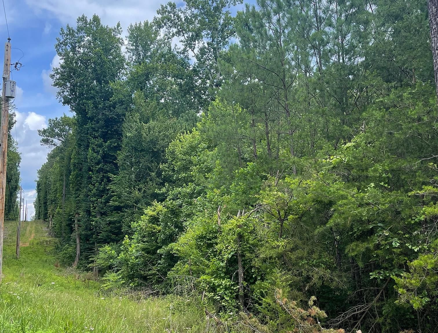 Green Creek Rd 25C1, Schuyler, VA 22969 MLS 648620 Zillow