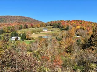 0 Brook Rd, Denver, NY 12421