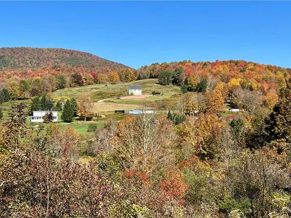 0 Brook Rd, Denver, NY 12421