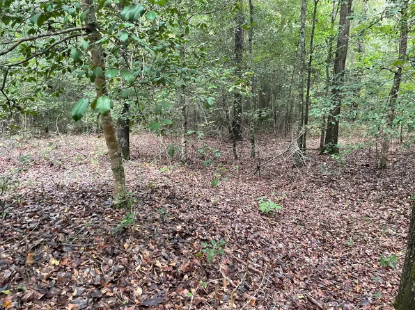 0 Wild Turkey Dr, Gibson, GA 30810