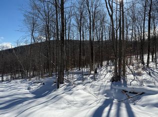 S-1c Great Roaring Brook Road #S-1c, Plymouth, VT 05056