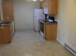 615 E South St, Rice Lake, WI 54868