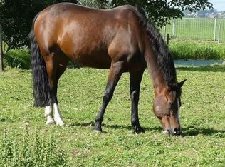 LOT 29 Broken Arrow Trl Lot 29, Angleton, TX 77515