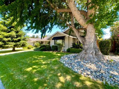 1320 Minnesota Ave, San Jose, CA, 95125