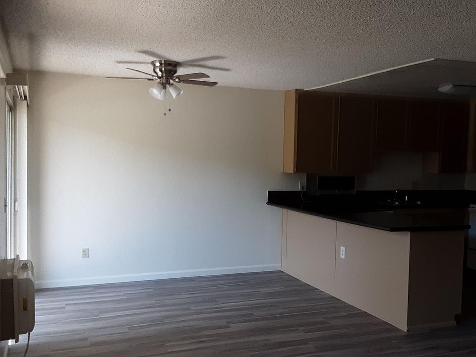 Living room with new Fan!