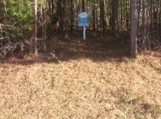 207 River Overlook, Forsyth, GA 31029