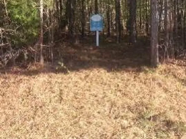 207 River Overlook, Forsyth, GA 31029