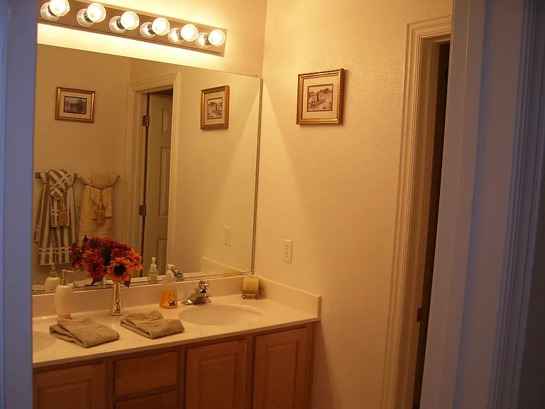 3316 Lacebark Pine St — Photo 12