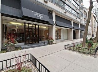 33 E Cedar St APT 3G, Chicago, IL