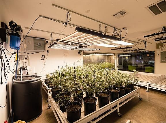 4th image of 4300 W Rogers Blvd
