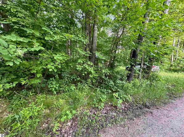 0 S 3 1/2 Rd, Cadillac, MI 49601