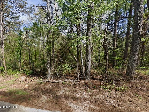 2nd image of 5 County Road 521