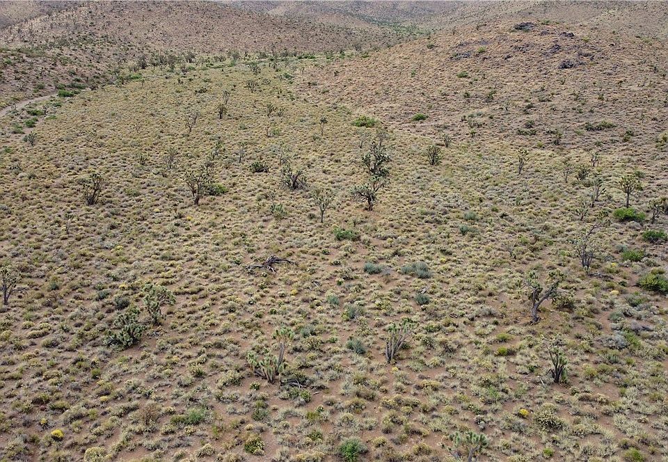 1st image of Lot 168 N Quail Road