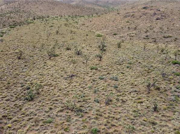 LOT 168 N Quail Dr, Dolan Springs, AZ 86441