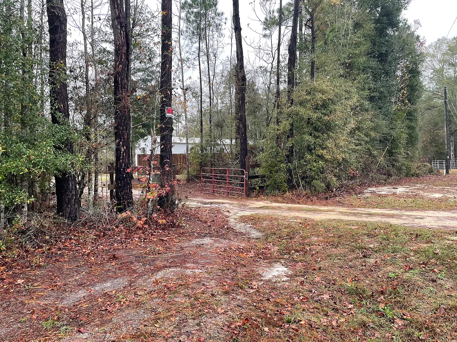 3 bed, 1000 sqft, $1,300 — Photo 2
