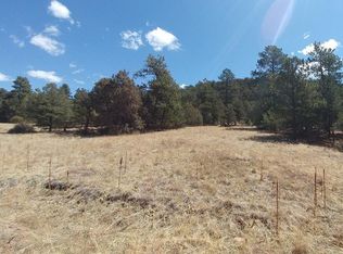 2202 Indian Wells Rd, Cotopaxi, CO 81223