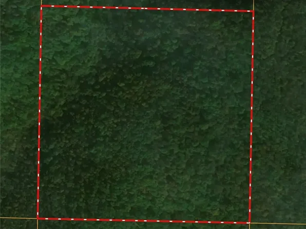 Madison #4316, Elkins, AR 72727