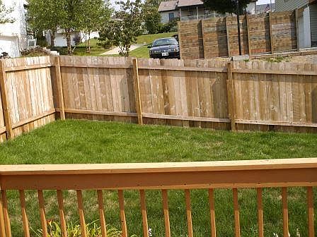 Back Yard and Fence