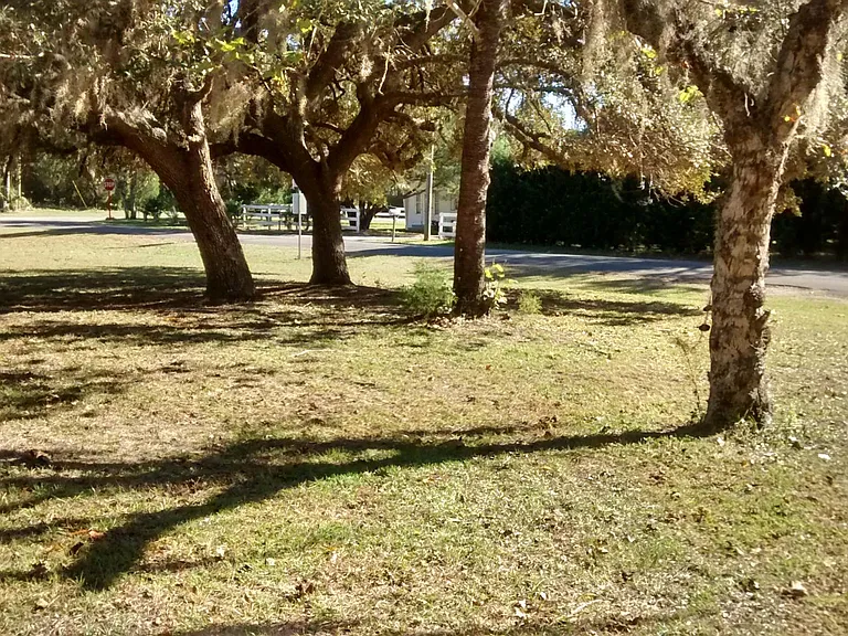 Front yard