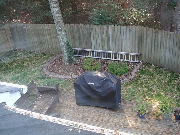 5th image of 301 Dorothy Dr