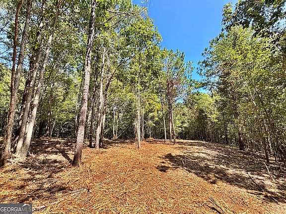3rd image of 0 Columbus Rd