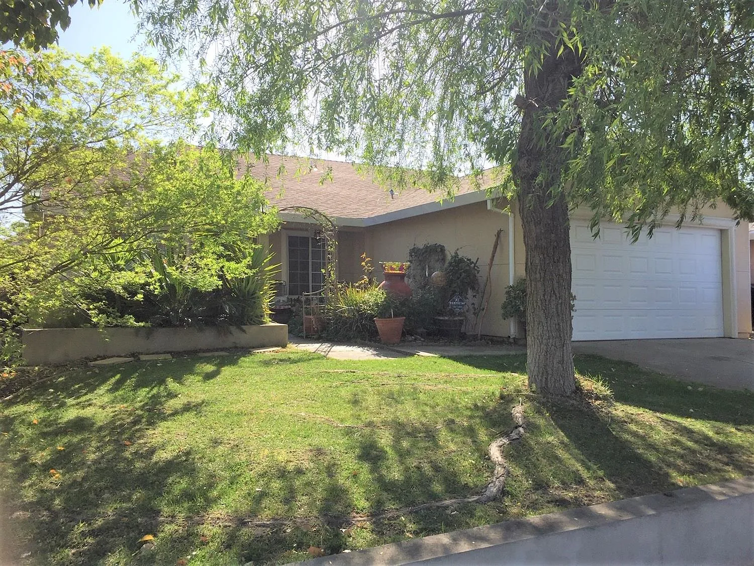 8341 Bergthold Way photo 1