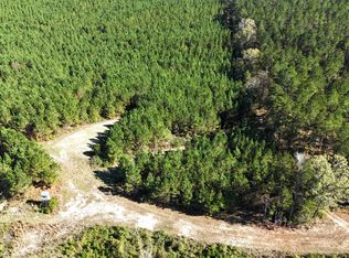 Little Rock County Line Rd, Union, MS 39365