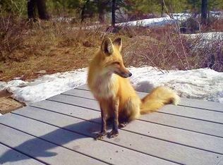 1110 Elo Rd, McCall, ID 83638