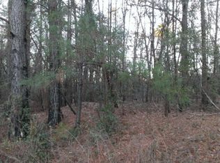 50 Whetstone Ct, Dalzell, SC 29040