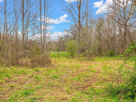 3rd image of 1540 Terrapin Branch Rd