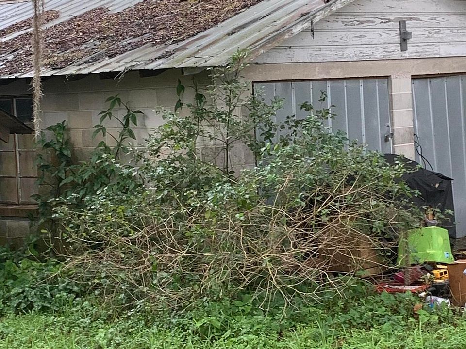 2nd image of 4631 FENNELL Road