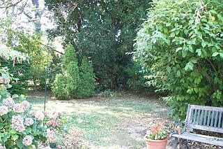 Rear Yard