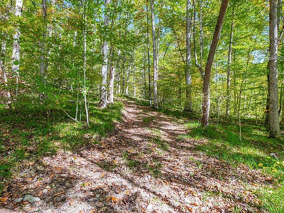 80th image of this home